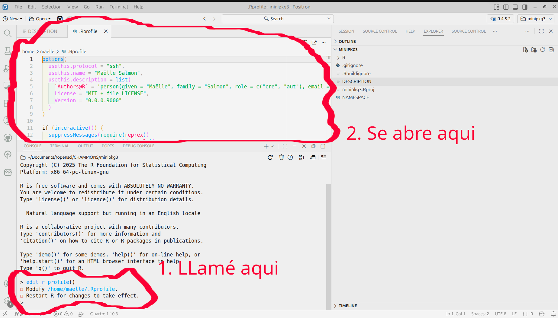 Captura de pantalla en Positron. En rojo se ve la consola de R dondé llamé la función, y donde se abre el archivo que tengo que modificar.